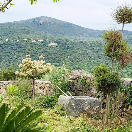 Magnifique * Aregno